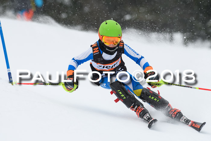 4. Ziener Cup WF, 25.02.2018