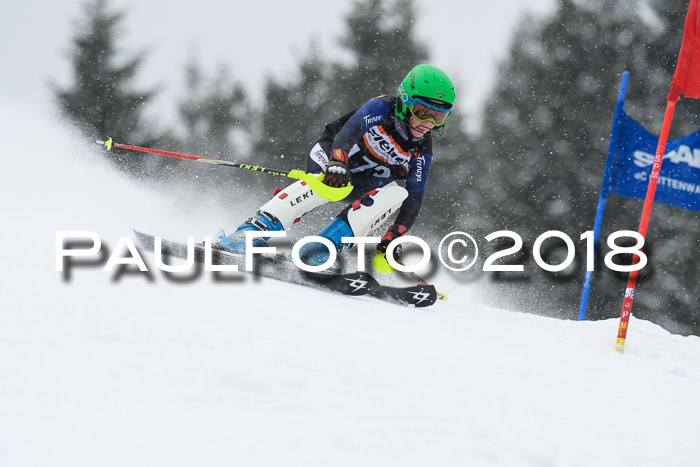 4. Ziener Cup WF, 25.02.2018