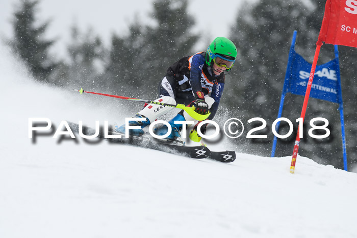 4. Ziener Cup WF, 25.02.2018