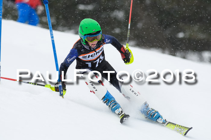 4. Ziener Cup WF, 25.02.2018