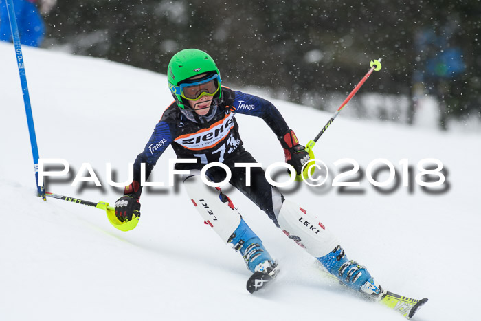 4. Ziener Cup WF, 25.02.2018