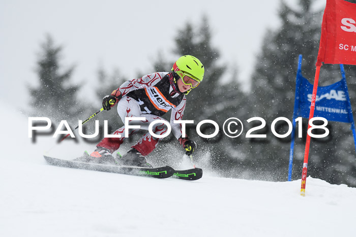 4. Ziener Cup WF, 25.02.2018