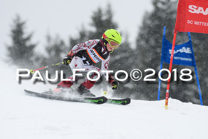4. Ziener Cup WF, 25.02.2018