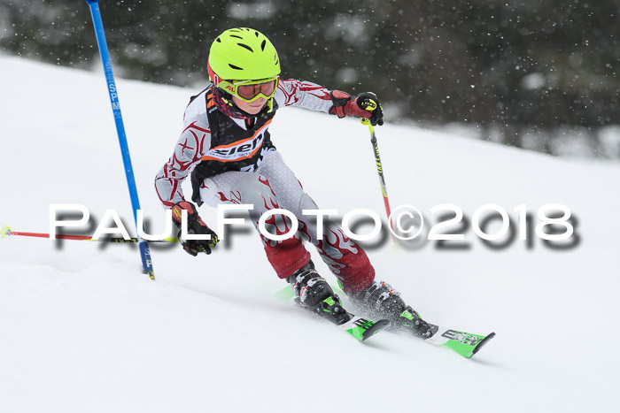 4. Ziener Cup WF, 25.02.2018