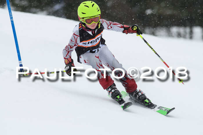 4. Ziener Cup WF, 25.02.2018