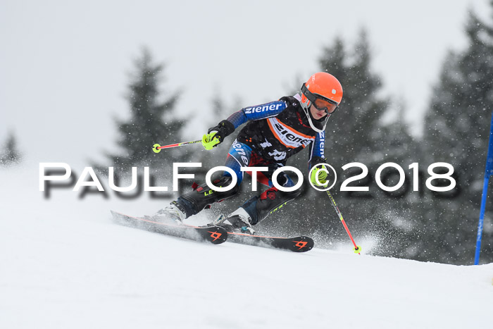 4. Ziener Cup WF, 25.02.2018
