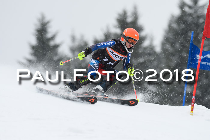 4. Ziener Cup WF, 25.02.2018
