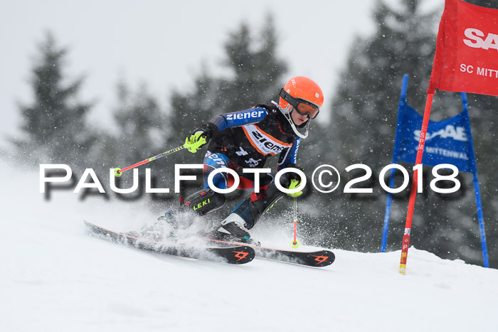 4. Ziener Cup WF, 25.02.2018