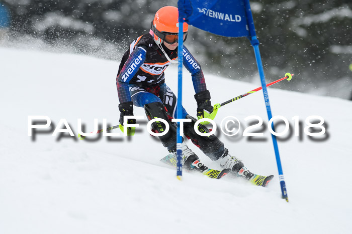 4. Ziener Cup WF, 25.02.2018