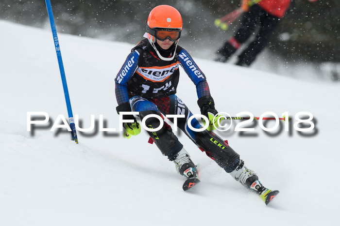 4. Ziener Cup WF, 25.02.2018