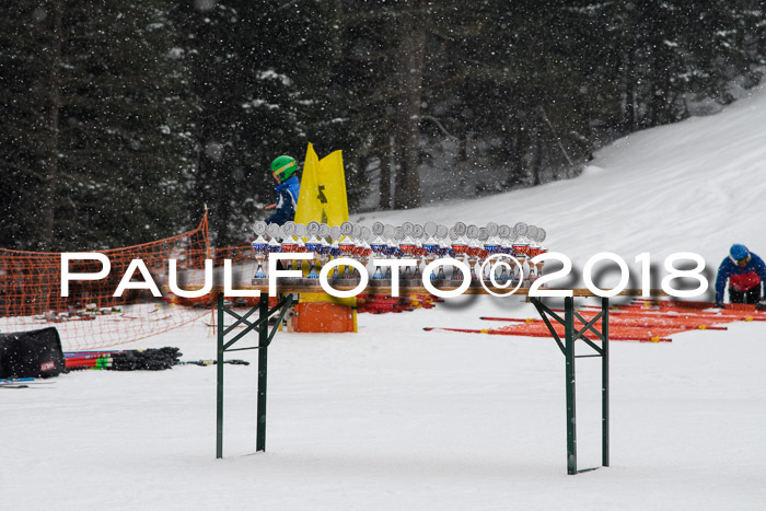 4. Ziener Cup WF, 25.02.2018
