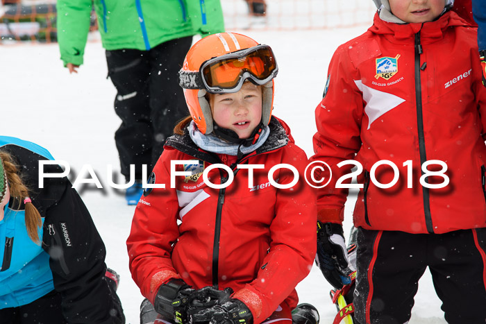 4. Ziener Cup WF, 25.02.2018