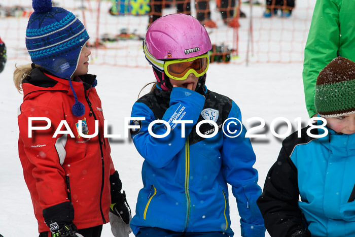 4. Ziener Cup WF, 25.02.2018