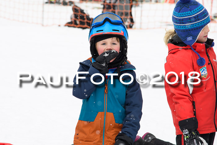 4. Ziener Cup WF, 25.02.2018