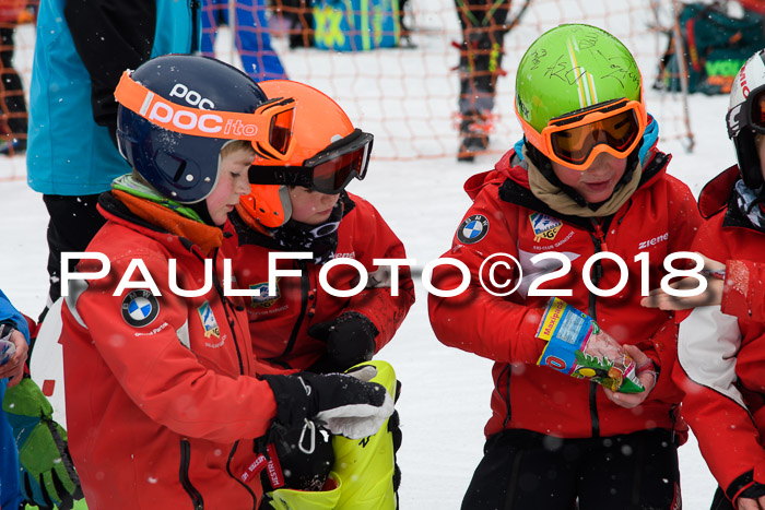 4. Ziener Cup WF, 25.02.2018