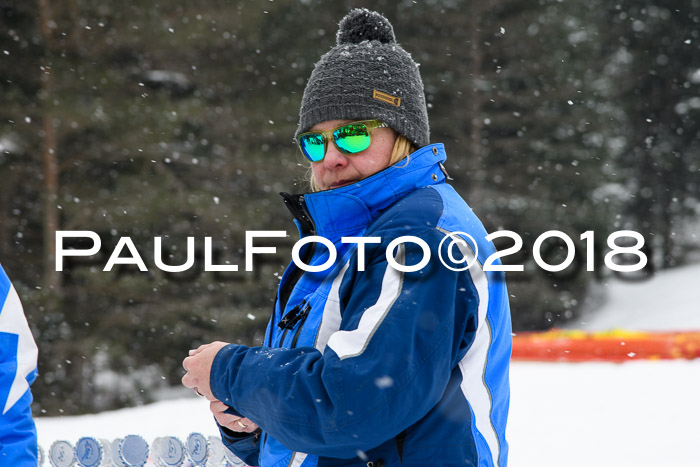 4. Ziener Cup WF, 25.02.2018