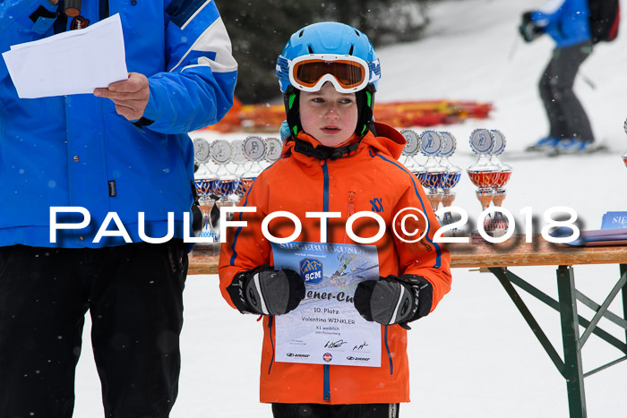 4. Ziener Cup WF, 25.02.2018