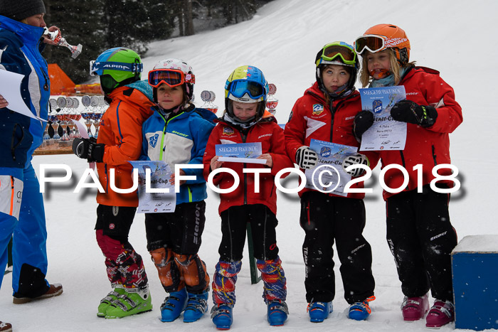4. Ziener Cup WF, 25.02.2018