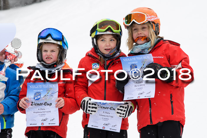 4. Ziener Cup WF, 25.02.2018