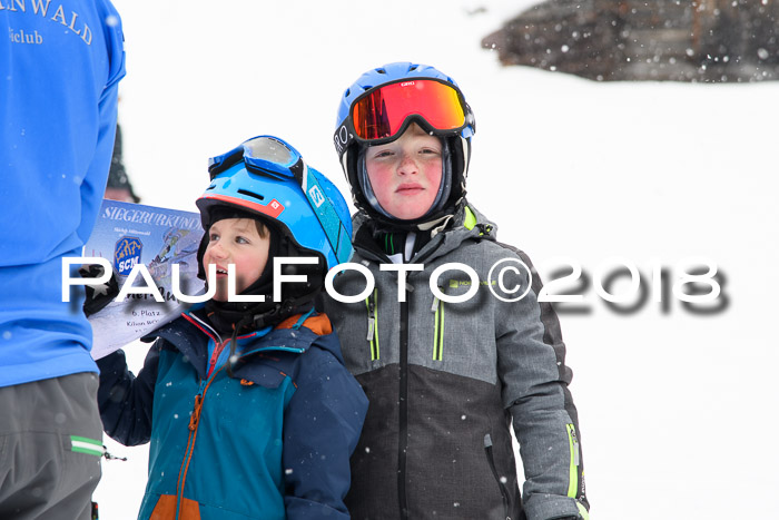 4. Ziener Cup WF, 25.02.2018