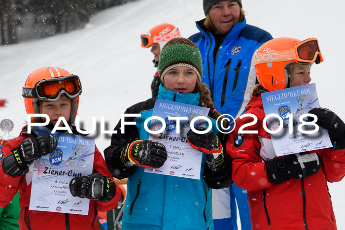 4. Ziener Cup WF, 25.02.2018