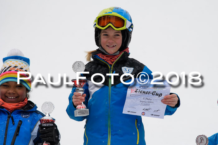 4. Ziener Cup WF, 25.02.2018
