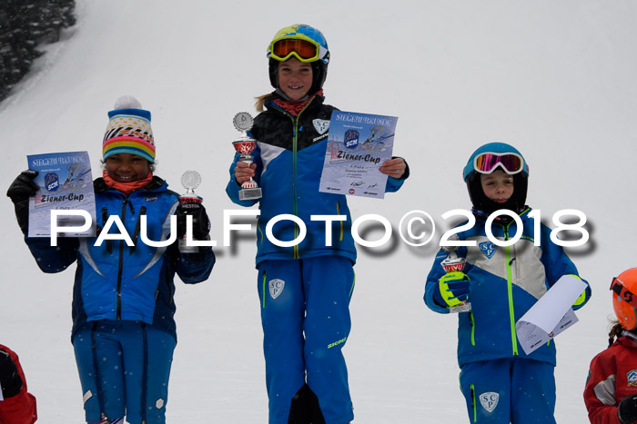 4. Ziener Cup WF, 25.02.2018