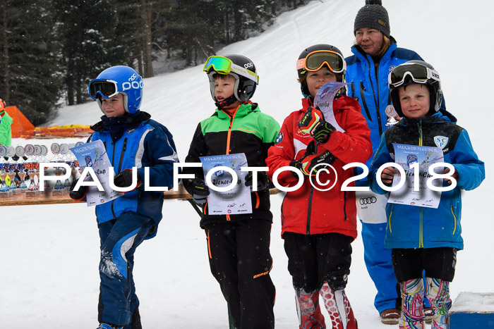 4. Ziener Cup WF, 25.02.2018