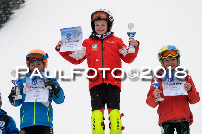 4. Ziener Cup WF, 25.02.2018