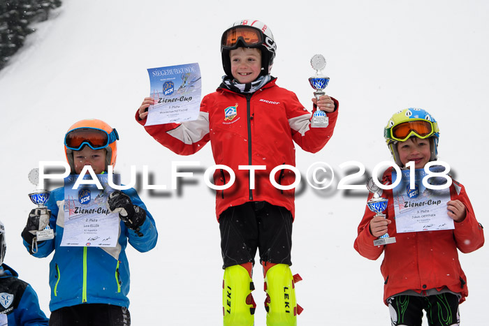 4. Ziener Cup WF, 25.02.2018