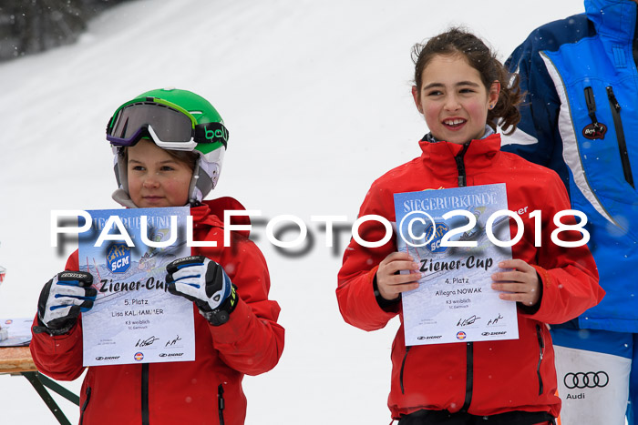 4. Ziener Cup WF, 25.02.2018