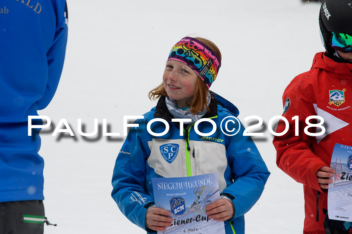 4. Ziener Cup WF, 25.02.2018