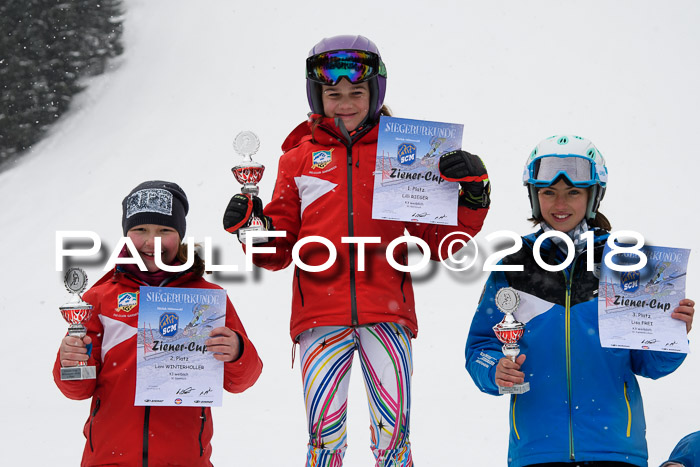 4. Ziener Cup WF, 25.02.2018