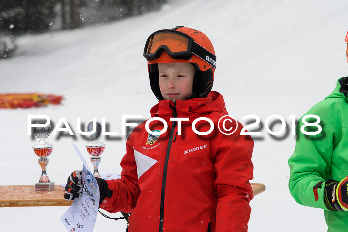 4. Ziener Cup WF, 25.02.2018