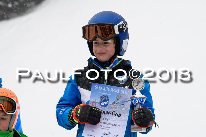 4. Ziener Cup WF, 25.02.2018