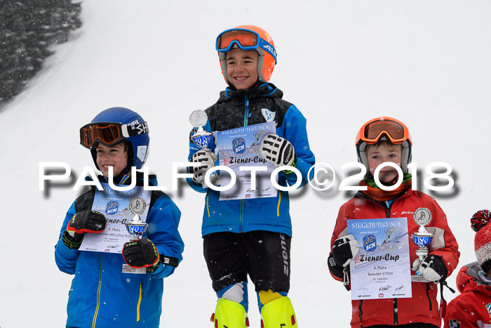 4. Ziener Cup WF, 25.02.2018