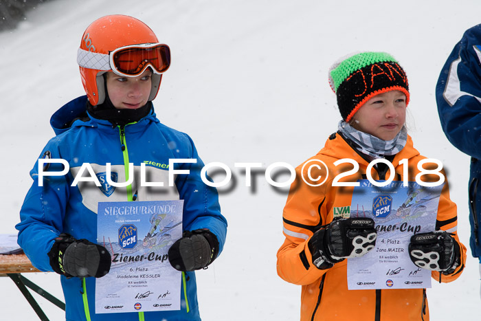 4. Ziener Cup WF, 25.02.2018