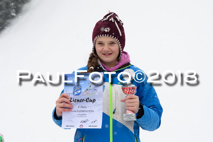 4. Ziener Cup WF, 25.02.2018