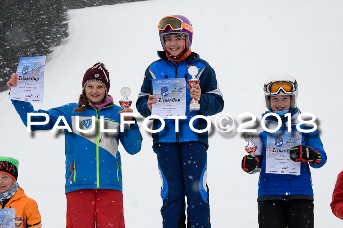 4. Ziener Cup WF, 25.02.2018