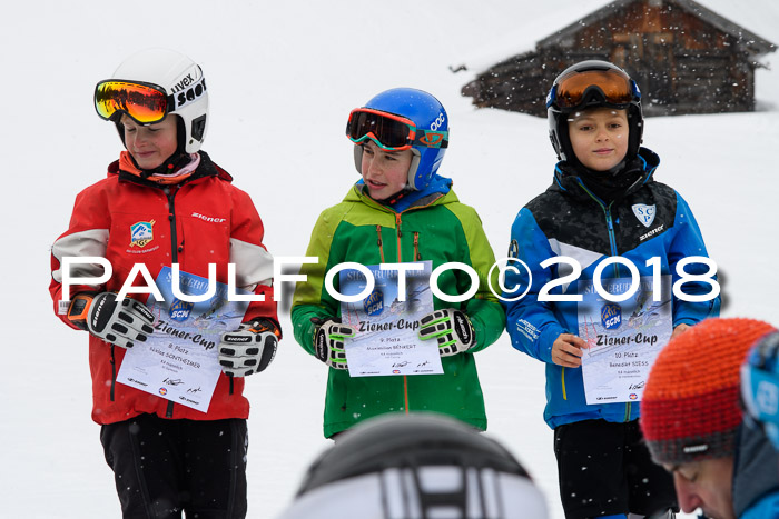 4. Ziener Cup WF, 25.02.2018