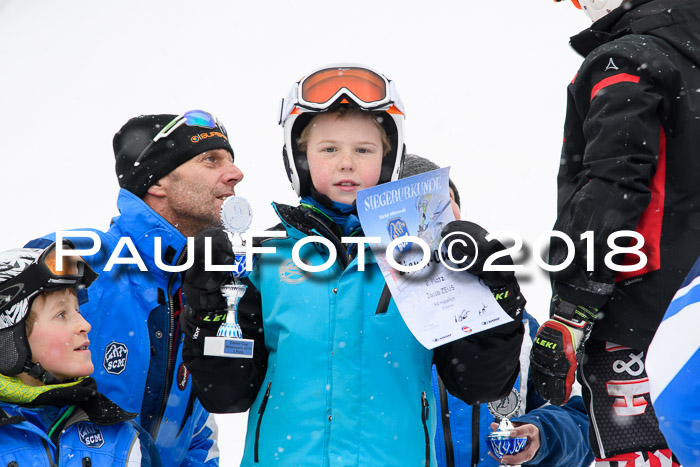 4. Ziener Cup WF, 25.02.2018