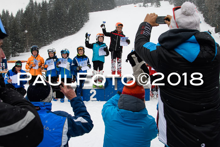 4. Ziener Cup WF, 25.02.2018