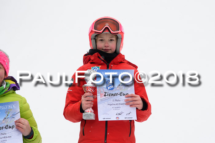 4. Ziener Cup WF, 25.02.2018