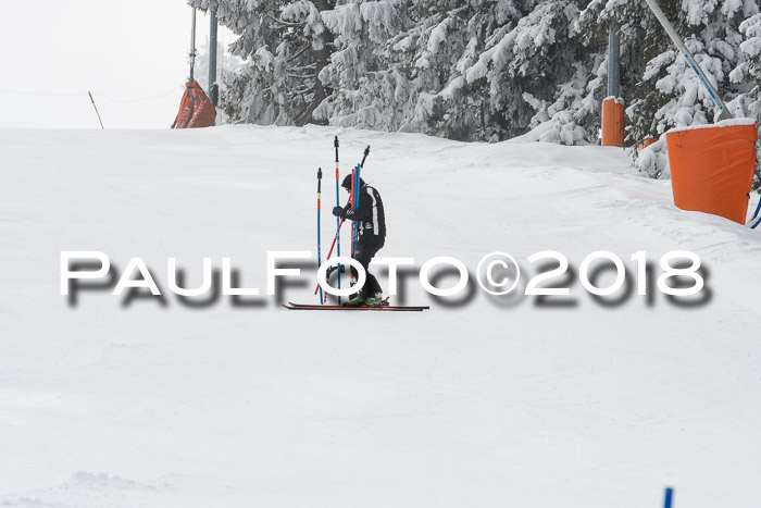 FIS Alpine Kombi 2x Slalom Herren 26.02.2018