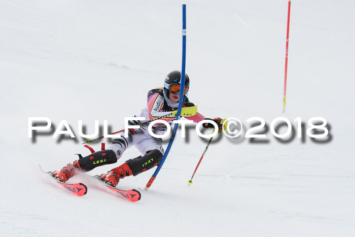 FIS Alpine Kombi 2x Slalom Herren 26.02.2018