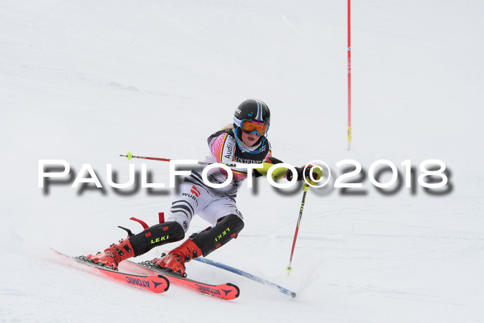 FIS Alpine Kombi 2x Slalom Herren 26.02.2018