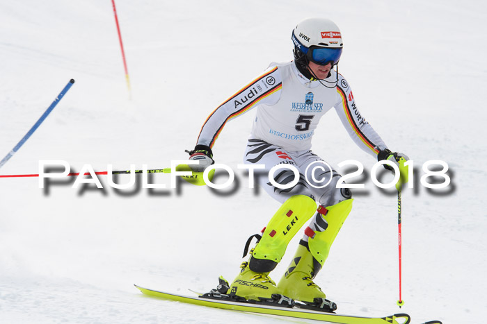 FIS Alpine Kombi 2x Slalom Herren 26.02.2018
