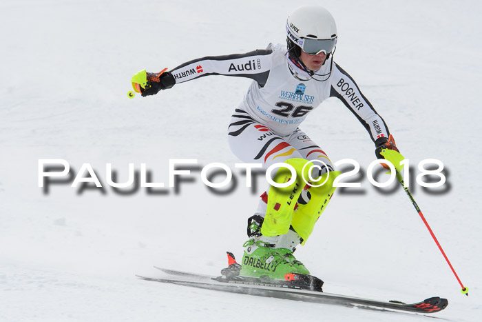 FIS Alpine Kombi 2x Slalom Herren 26.02.2018