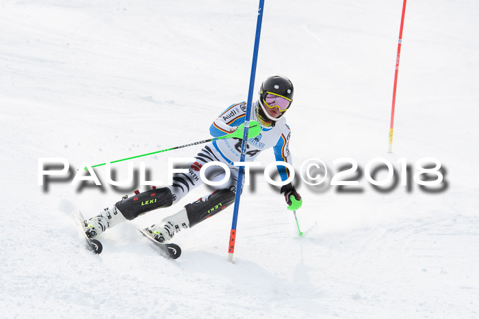FIS Alpine Kombi 2x Slalom Herren 26.02.2018
