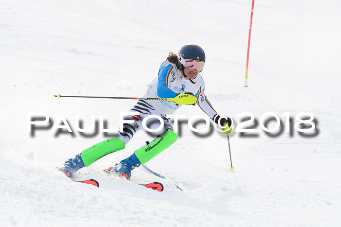 FIS Alpine Kombi 2x Slalom Herren 26.02.2018